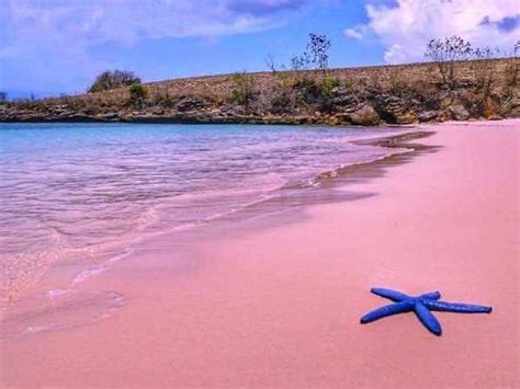 7 Tempat Wisata Di Lombok Terpopuler Dan Paling Diminati Wisatawan