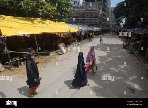 Dhaka Bangladesh 25jun2023despite The Ban Of The City Corporationthe