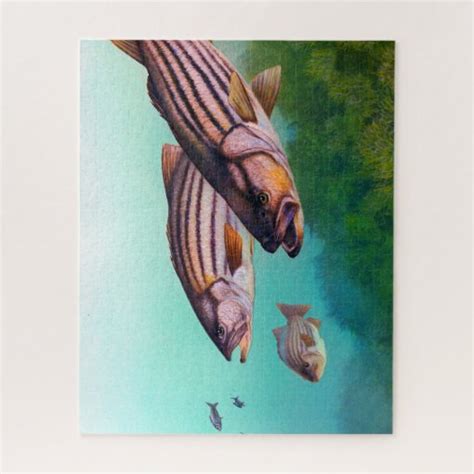 Striped Bass Jigsaw Puzzle Zazzle