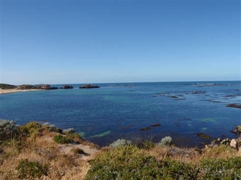 Point Peron Snorkeling