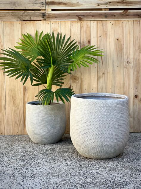 Wearable tech will soon assist those living with POTS WA