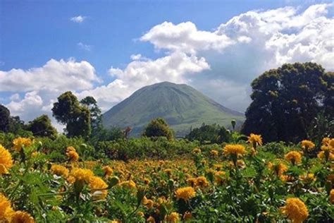 Festival Bunga Tomohon Identitas Kota Berhiber Yang Mendunia Waktu News