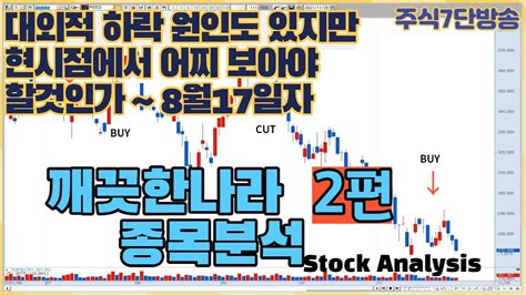 깨끗한나라 주가 대외적 하락에 현시점 주가전망 분석합니다 8월17일2편 Youtube