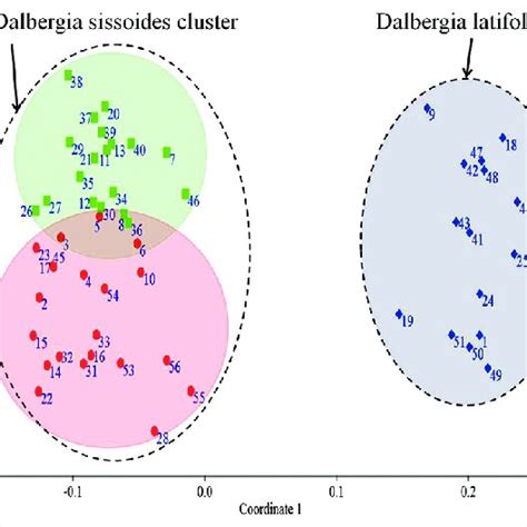 The leaves of Dalbergia latifolia and Dalbergia sissoides showed the... | Download Scientific ...