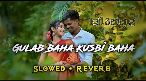 Gulab Baha Kusbi Baha Slowed Reverb Song Santali Lofi Song