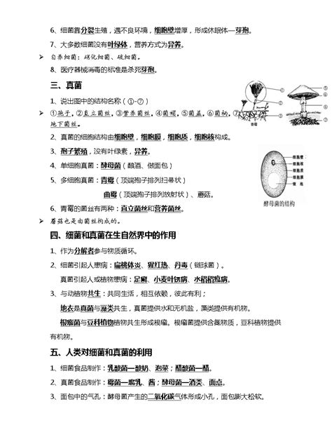 10 细菌、真菌和病毒生物的多样性及其保护 2022年中考生物一轮复习核心考点必背知识清单 教习网课件下载