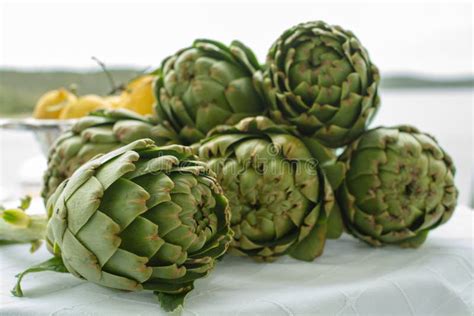 Cooking With Fresh Green Artichokes Heads Tasty Vegetarian Food Stock