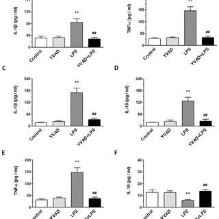 Nlrp Inflammasome Inhibitor Ac Yvad Cmk Reduces Expression Of Nlrp