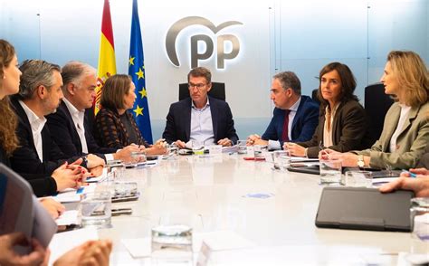 Feijóo se fija como objetivo revalidar la mayoría absoluta del PP en