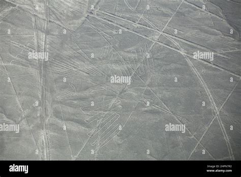 Aerial View Of Nazca Lines Geoglyphs In Peru The Lines Were Designated