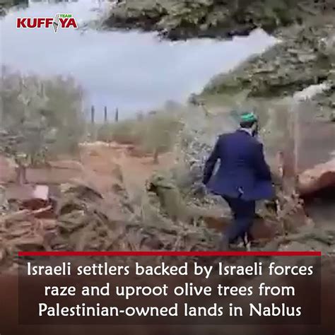 Tony Cosentino On Twitter RT Kuffiyateam Colonial Israeli Settlers