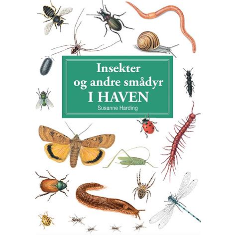 Insekter Og Andre Smådyr I Haven Praktisk Lommebog