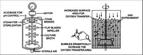 Types Of Bioreactors Laboratory Design Talk