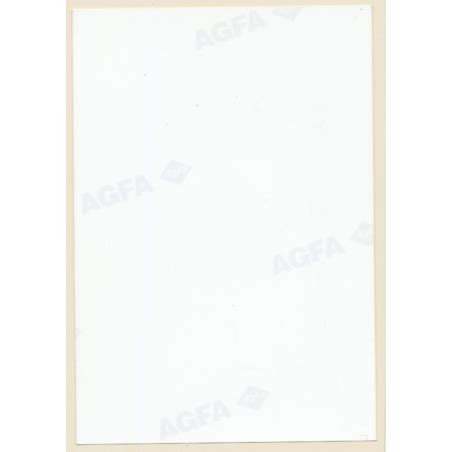 Erotic Study Darkhaired Semi Nude In Leather Jacket Butt Vintage Photo 1990s