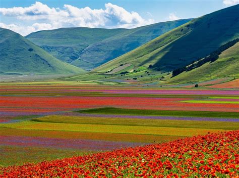 Fioritura Castelluccio Di Norcia 2024 Date Quando Andare E Come