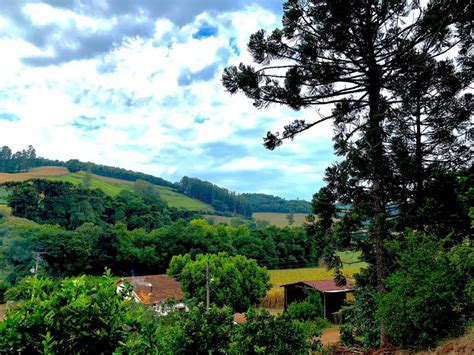 Quinta Deve Ser Chuvosa No Interior Da Regi O Sul Saiba Mais No