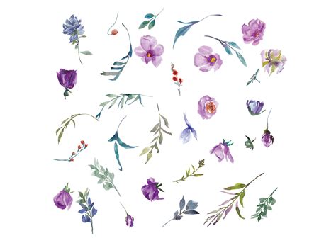 Watercolor Purple Flowers Clipart Hand Painted Flowers