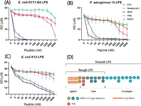 Nitric Oxide Inhibition In LPS Stimulated RAW264 7 By Peptide