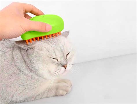 Cepillo De Vapor Para Gatos Y Perros Quita Pelos Verde IMPORTADO