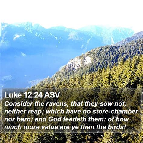 Luke 12 24 ASV Bible Verse Pictures