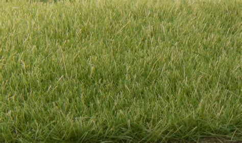 Static Grass Medium Green 4mm - Woodland Scenics