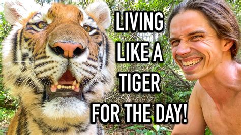 Living Like A Tiger For The Day Myrtle Beach Safari Youtube