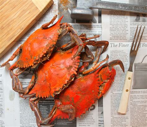 Kitchen Snaps: Steamed Crabs with Old Bay Seasoning ~ Ocean Mom Mom