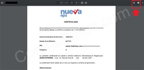 Nueva EPS Afiliación y servicios en línea Guía completa