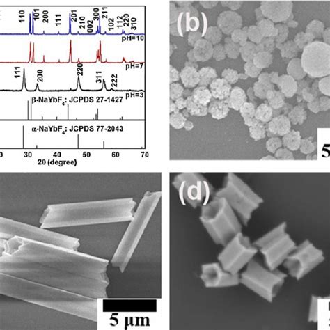 A Xrd Patterns And B D Fe Sem Images Of Products Modified By