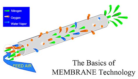 Membrane Technology in Nitrogen Generation | South-Tek Systems