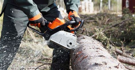 Menlo Park Tree Trimmer Dies After Being Pulled Into The Chipper In