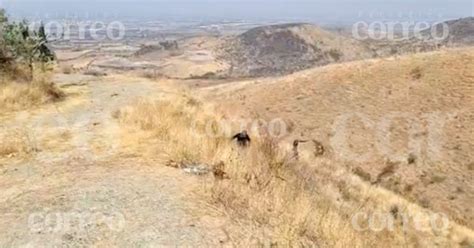 Hallan los cadáveres de dos hombres en el camino a Cristo Rey en Silao