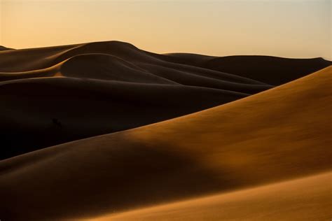 Free Images Desert Erg Natural Environment Aeolian Landform Dune