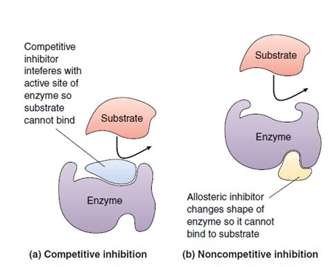 Advanced Mathematical Research Author Md Tauseef Ibrahim/Abraham Malik: Enzyme Cofactors ...