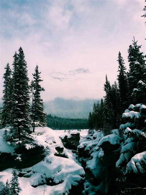 Bildet landskap tre natur skog villmark fjell snø vinter Sky