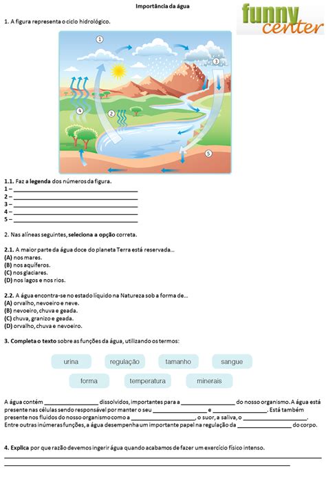 Atividades Sobre O Ciclo Da água 5o Ano Gabarito EDUKITA