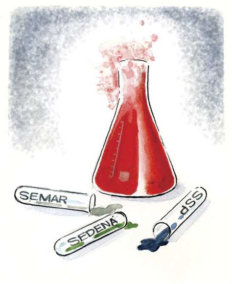 Ley De Seguridad Interior Breve Radiografía Procesal De Sus