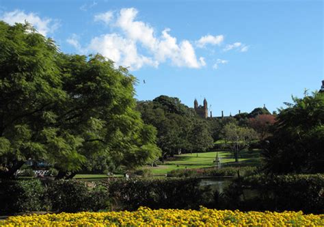 Victoria Park, Sydney - Making hay while the sun shines