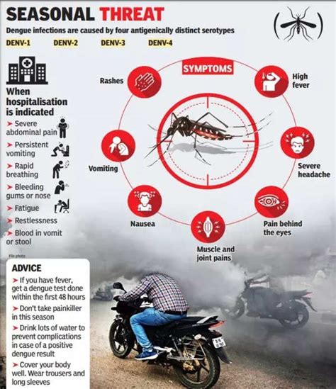 Dengue Starts To Sting Admissions Rise In Delhi Hospitals Delhi News