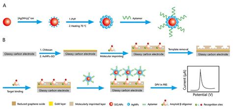 Chemosensors Free Full Text Aptamermolecularly Imprinted Polymer