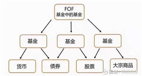 了解fof基金看这篇就够了：fof基金全网最全攻略 知乎