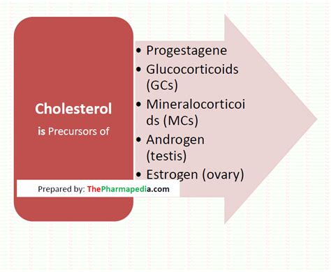 Corticosteroids Mineralocorticoid Glucocorticoid Pharmacology The