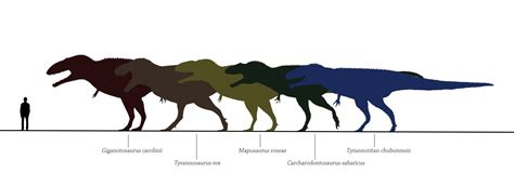 When Tyrannosaurs Were Prey The Rise And Fall Of The Giant By Panos