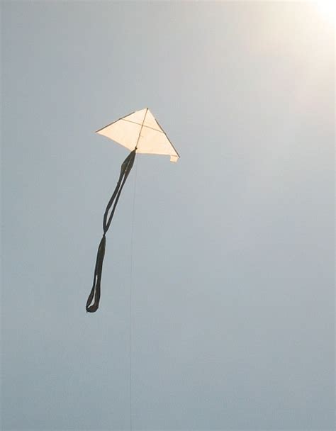 Mbk Delta Kite Plans