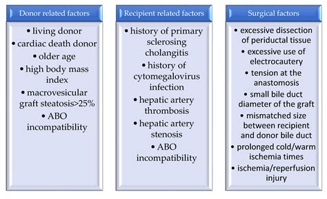 Medicina Free Full Text Biliary And Vascular Complications After Liver Transplantation From