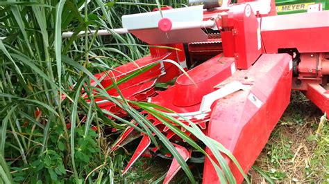 เครื่องตัดหญ้าเนเปียร์ 6 Napier Grass Harvester Youtube