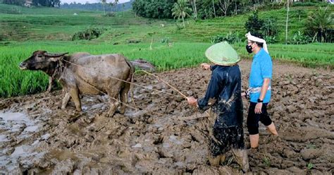 Kemenparekraf Targetkan 100 Desa Wisata Di Majalengka Partisipasi Di