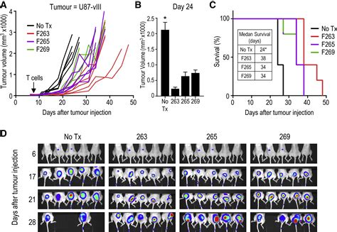 A High Throughput Method For Characterizing Novel Chimeric Antigen