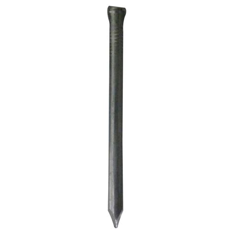 Bat Metalwork Galvanised Oval Nail Galvanised Nails