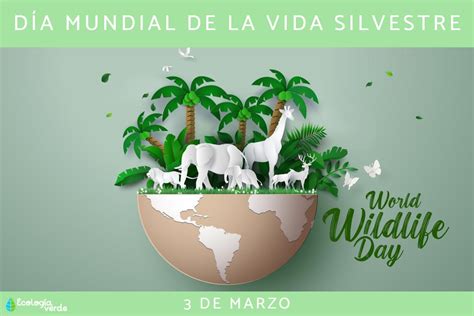 Día Mundial De La Vida Silvestre Cuándo Es Y Frases 3 De Marzo